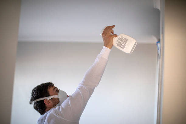 Best Residential Mold Removal  in Ponderosa Park, CO