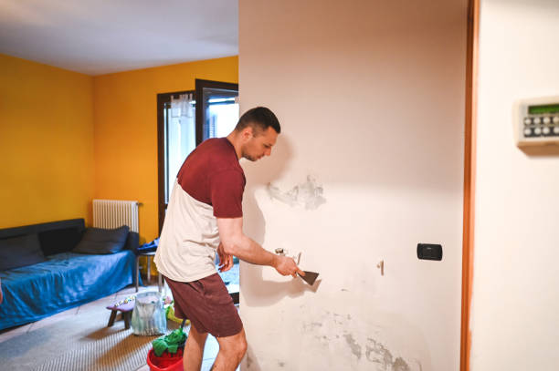 Best Toxic Mold Removal  in Ponderosa Park, CO